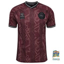 Camisa Edição Especial Dinamarca 2024/25