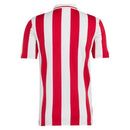 Camisa Especial Olympiacos - 100 anos