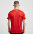 Camisa País de Gales I 2026 - Varal do Torcedor P / Não / Sem Patch Otimizado