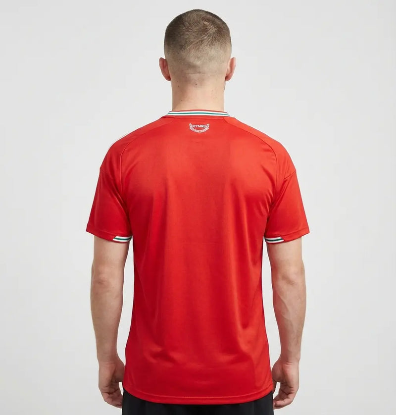 Camisa País de Gales I 2026 - Varal do Torcedor P / Não / Sem Patch Otimizado